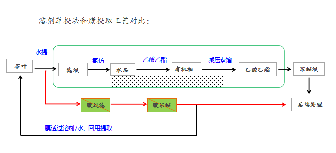 茶多酚提取